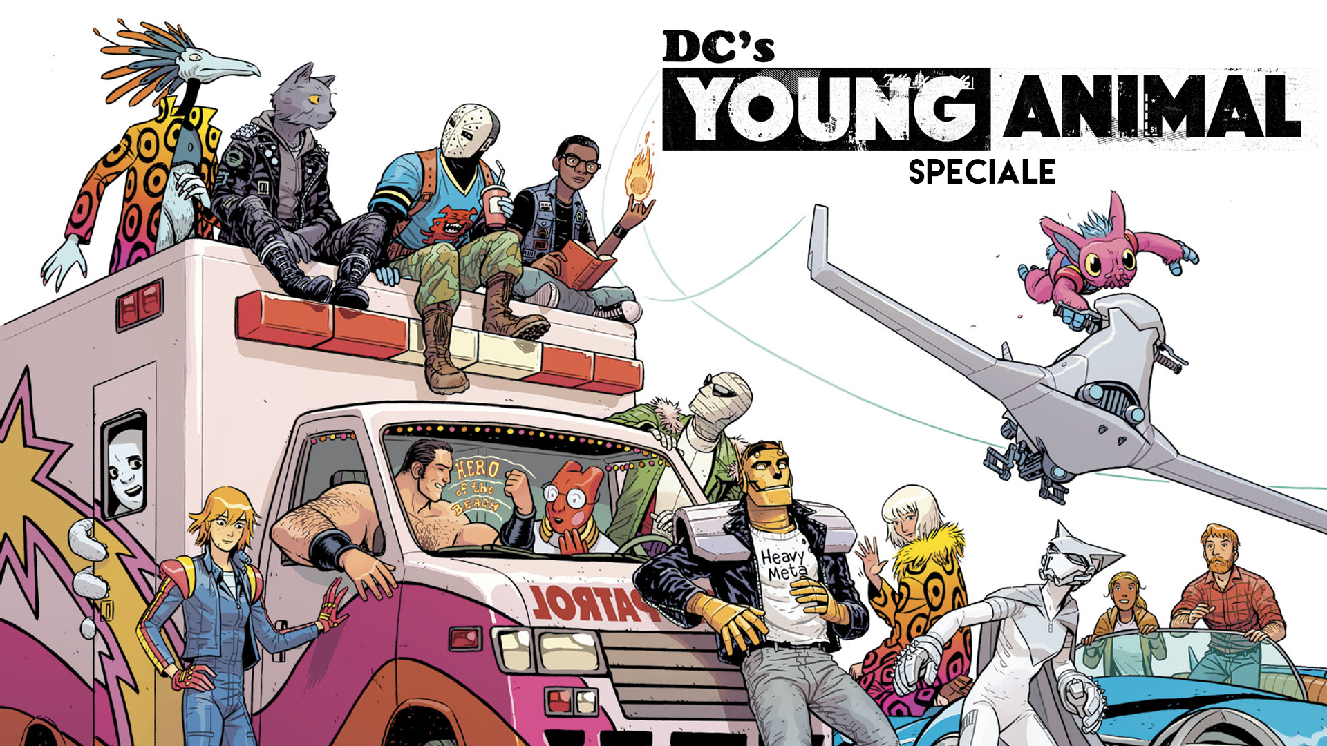 youndg Young Animal