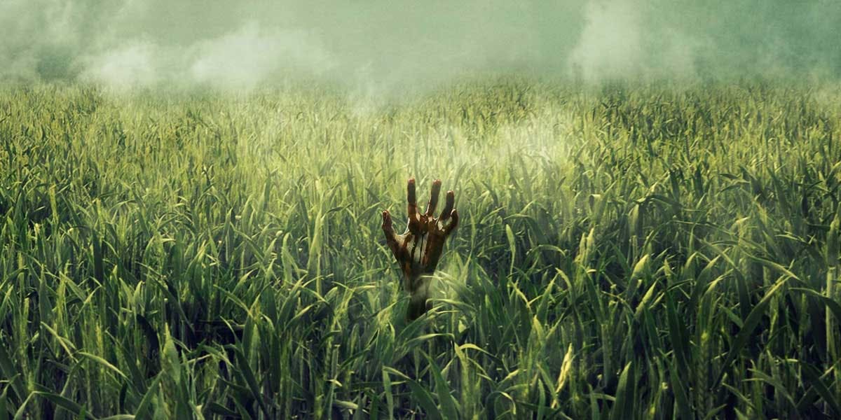 Stephen King In The Tall Grass