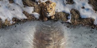 Mufasa: Il Re Leone – La storia di origine di un Re | Recensione