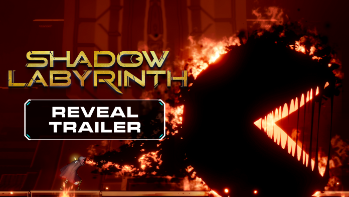 SHADOW LABYRINTH