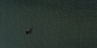 Acqua Benedetta – Corpi, acqua e memoria nel documetario di Antonio Petrianni | Recensione
