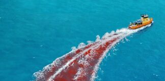 Dangerous Animals – Un oceano di sangue e follia | Recensione