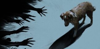 Good Boy – L’horror visto a quattro zampe | Recensione