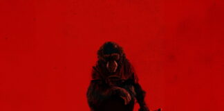 Ben: Rabbia Animale – Tra slasher, natura e paura primordiale | Recensione